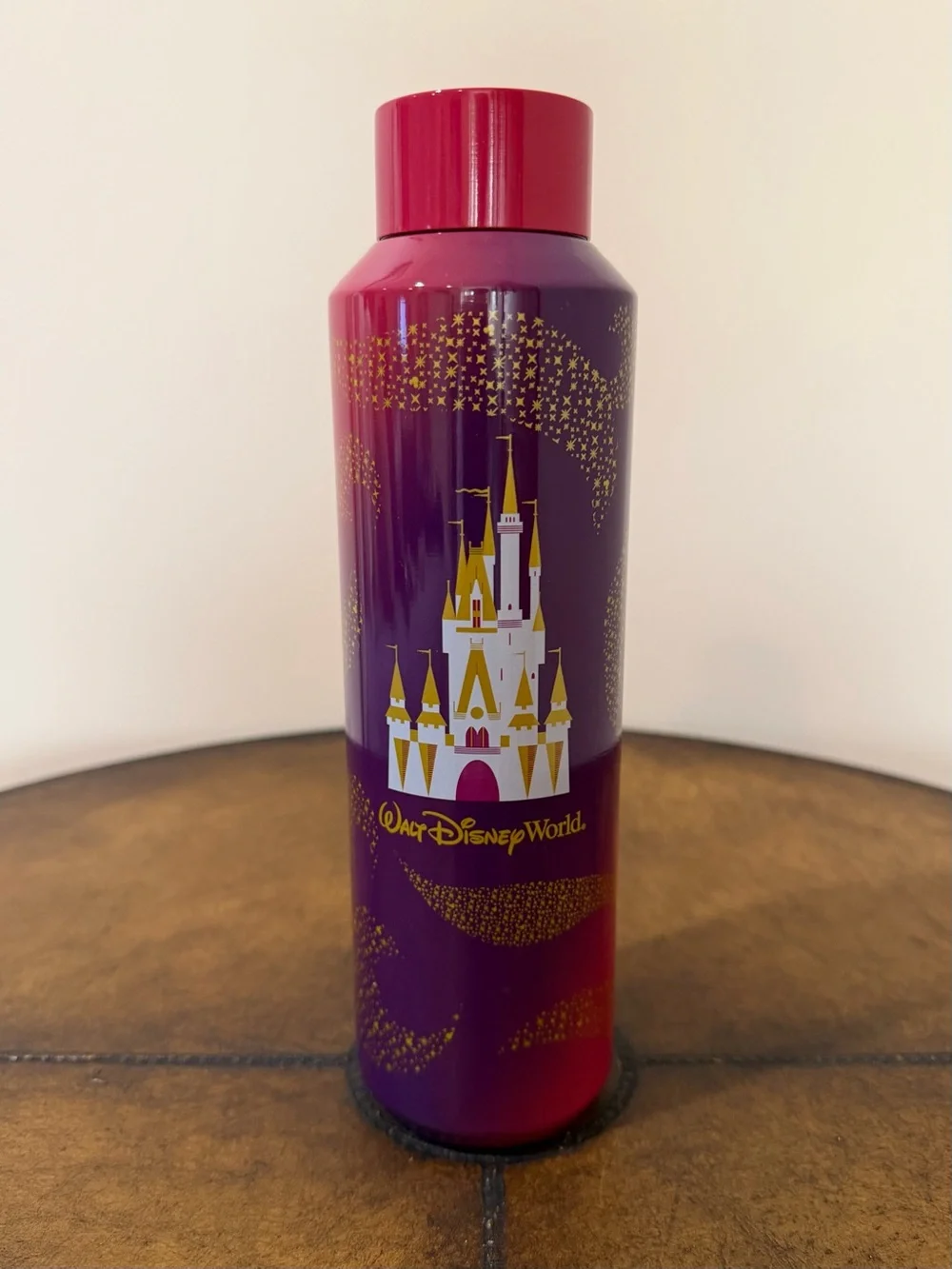 NEW STARBUCKS WALT DISNEY WORLD CINDERELLA CASTLE STAINLESS STEEL WATER BOTTLE